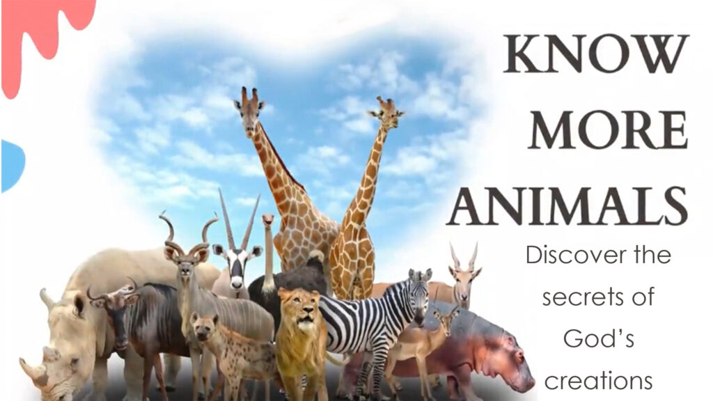 Know More Animals