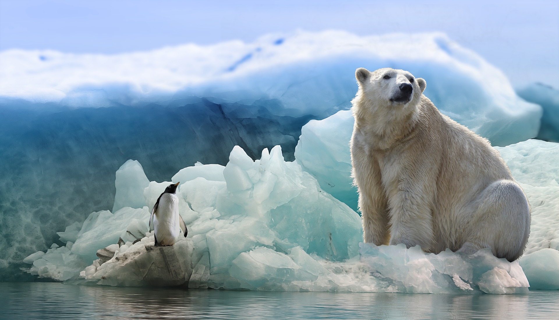 Endangered Animals